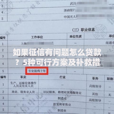 如果征信有问题怎么贷款?5种可行方案及补救措施解析 如果征信有问题怎么贷款?5种可行方案及补救措施解析