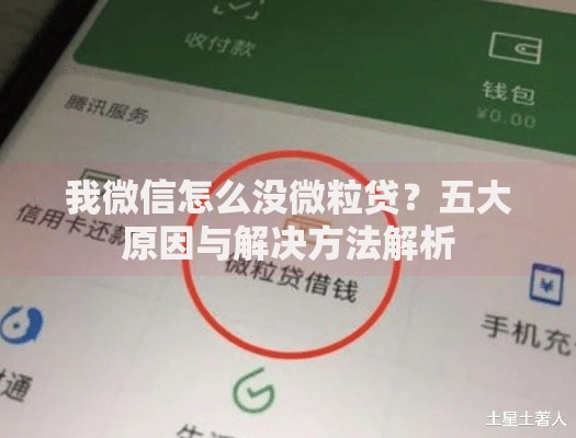 我微信怎么没微粒贷？五大原因与解决方法解析