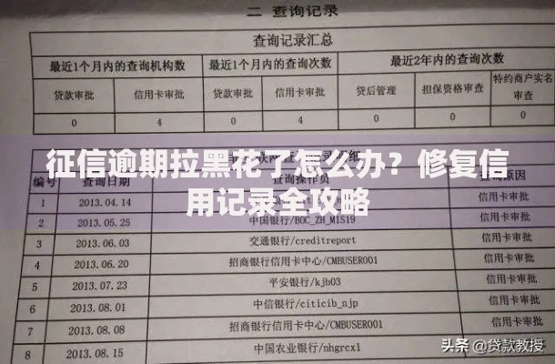 征信逾期拉黑花了怎么办？修复信用记录全攻略