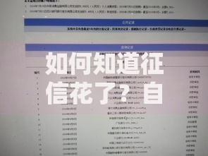 如何知道征信花了？自查方法与修复指南