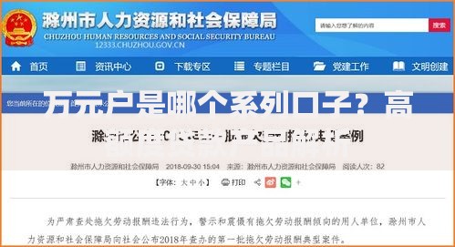 万元户是哪个系列口子？高额度贷款产品解析