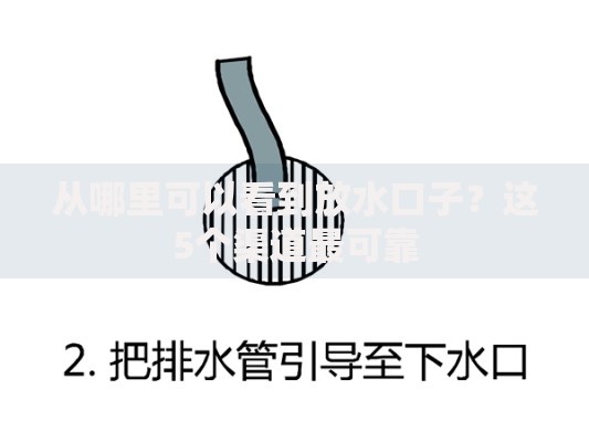 从哪里可以看到放水口子？这5个渠道最可靠