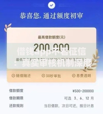 借钱app不看征信：真实审核机制深度揭秘