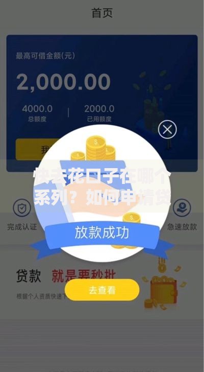 快去花口子在哪个系列？如何申请贷款产品详解