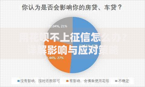 用花呗不上征信怎么办？详解影响与应对策略