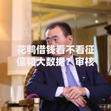 花鸭借钱看不看征信和大数据？审核机制与用户资质解析