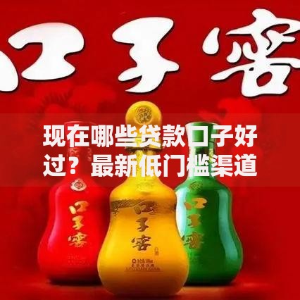 现在哪些贷款口子好过？最新低门槛渠道解析