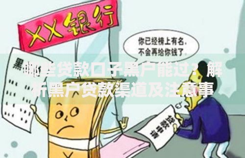 哪些贷款口子黑户能过？解析黑户贷款渠道及注意事项