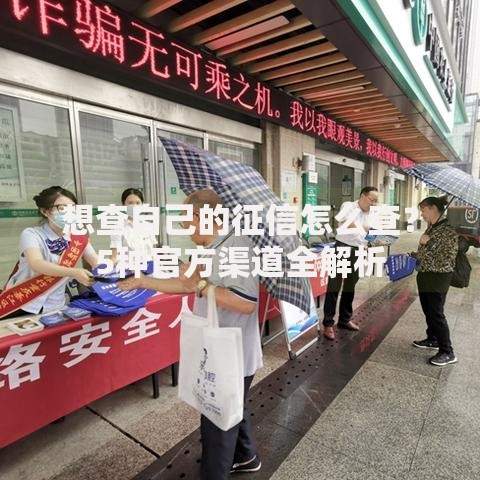 想查自己的征信怎么查？5种官方渠道全解析