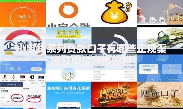 小宝贷系列贷款口子有哪些正规渠道及申请条件解析
