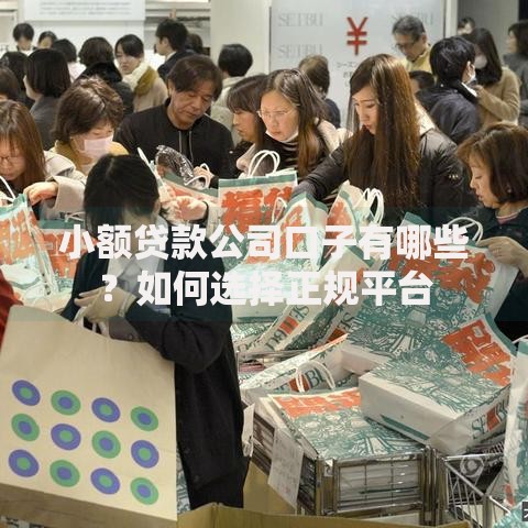 小额贷款公司口子有哪些？如何选择正规平台