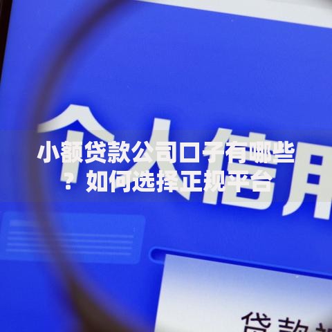 小额贷款公司口子有哪些？如何选择正规平台