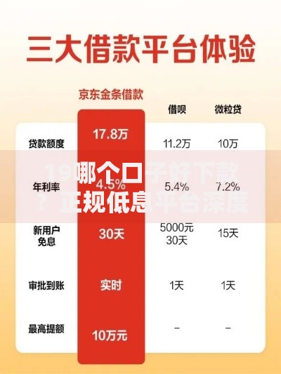 19哪个口子好下款？正规低息平台深度评测指南