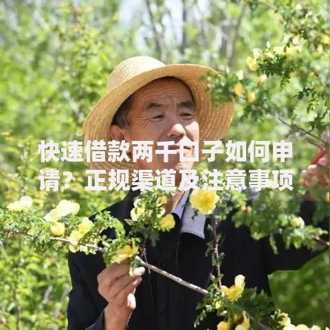快速借款两千口子如何申请？正规渠道及注意事项解析