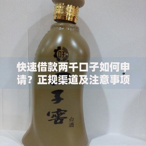 快速借款两千口子如何申请？正规渠道及注意事项解析