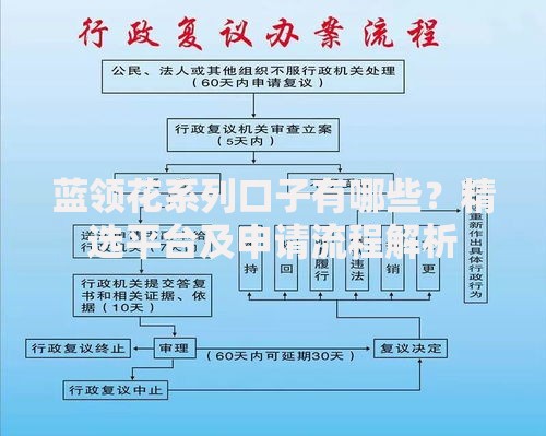 蓝领花系列口子有哪些？精选平台及申请流程解析