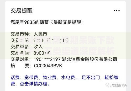 有没有双黑逾期呆账下款口子？五类渠道深度解析