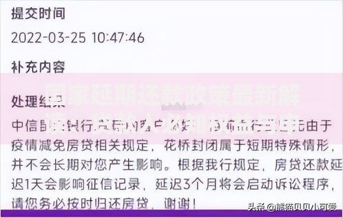 国家延期还款政策最新解读：贷款人必知权益与申请要点