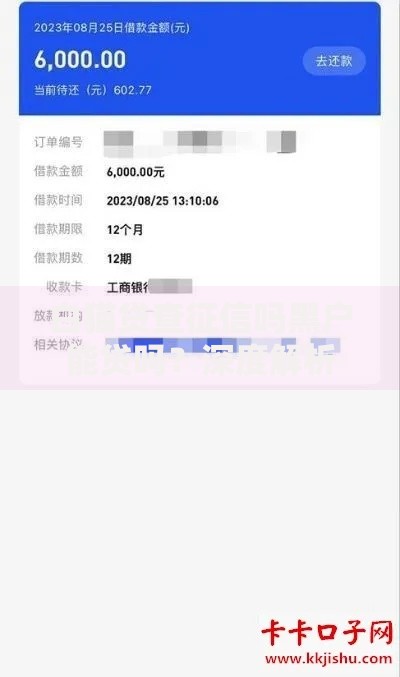 白猫贷查征信吗黑户能贷吗？深度解析审核机制与申贷策略
