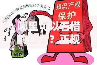 哪里可以看借的口子?正规渠道解析与选择攻略 哪里可以看借的口子?正规渠道解析与选择攻略