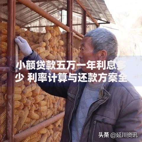 小额贷款五万一年利息多少 利率计算与还款方案全解析