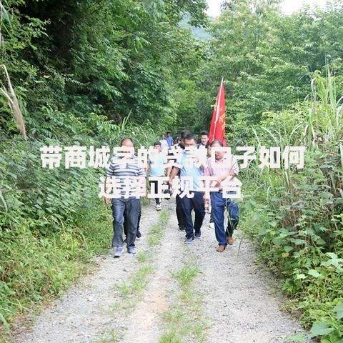 带商城字的贷款口子如何选择正规平台