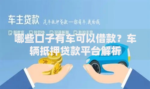 哪些口子有车可以借款？车辆抵押贷款平台解析