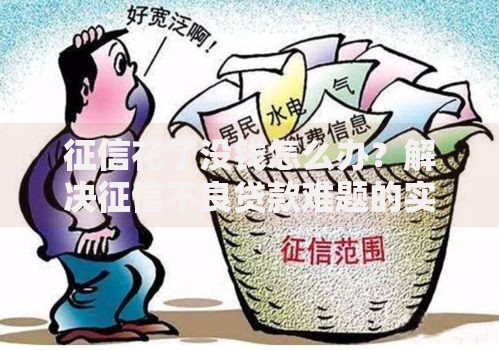 征信花了没钱怎么办？解决征信不良贷款难题的实用指南