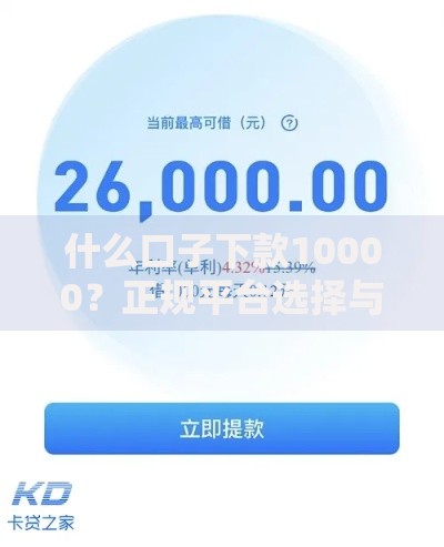 什么口子下款10000？正规平台选择与申请攻略解析