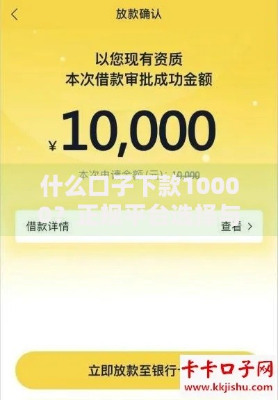 什么口子下款10000？正规平台选择与申请攻略解析
