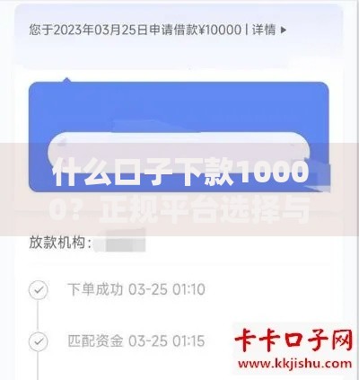 什么口子下款10000？正规平台选择与申请攻略解析