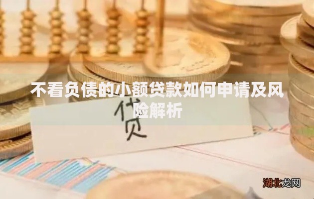 不看负债的小额贷款如何申请及风险解析