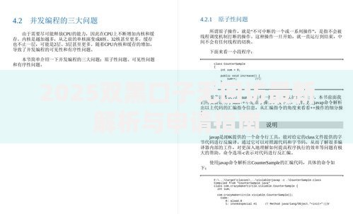 2025双黑口子无回访最新解析与申请指南