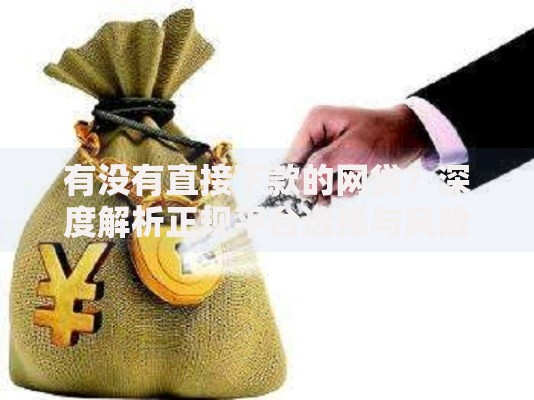 有没有直接下款的网贷？深度解析正规平台选择与风险防范