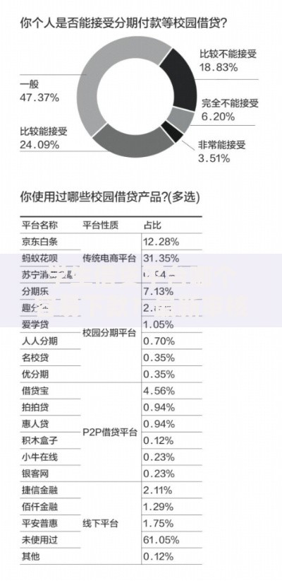 学生借贷平台哪个容易下款？最新审核标准对比分析