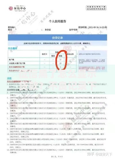 征信黑了怎么显示贷款？不良记录下贷款申请全解析