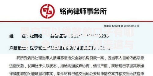 黑户可以贷款的口子有哪些？全面解析正规渠道与注意事项