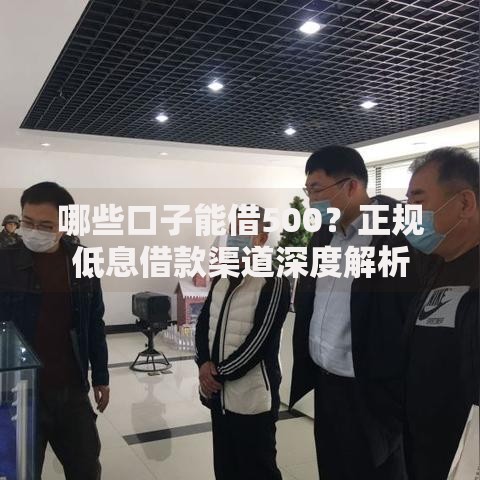 哪些口子能借500？正规低息借款渠道深度解析