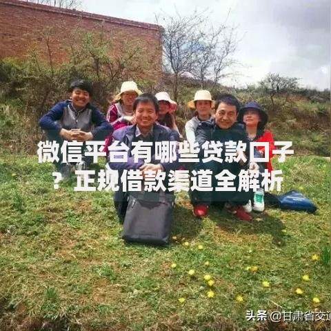 微信平台有哪些贷款口子？正规借款渠道全解析