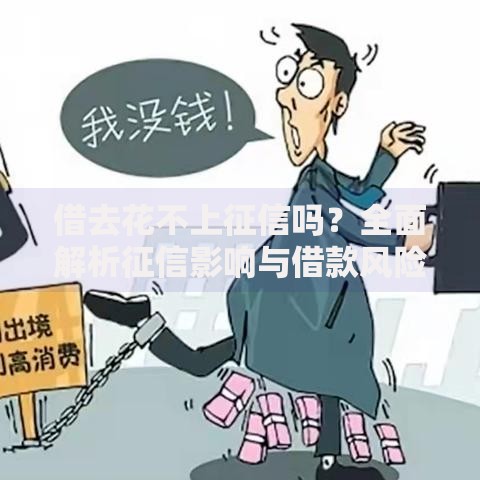 借去花不上征信吗？全面解析征信影响与借款风险