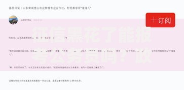 征信黑花了能报考公务员吗？政审要求与信用影响解析