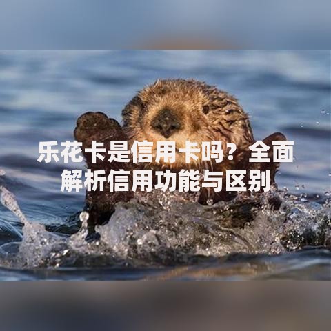乐花卡是信用卡吗？全面解析信用功能与区别