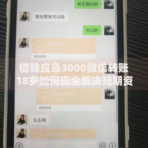 借钱应急3000微信转账18岁如何安全解决短期资金需求
