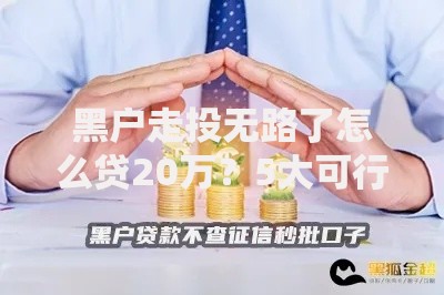 黑户走投无路了怎么贷20万？5大可行渠道与避坑指南