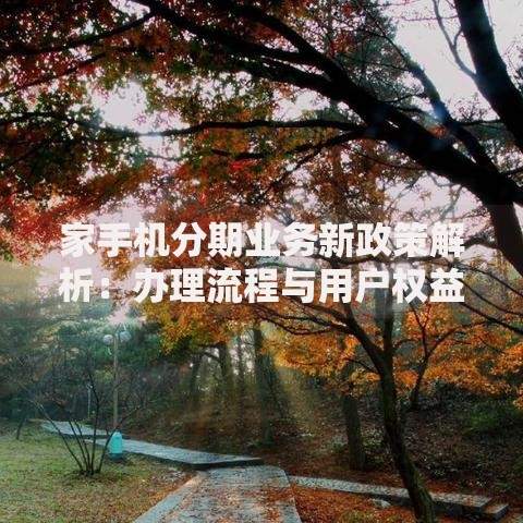 家手机分期业务新政策解析：办理流程与用户权益详解