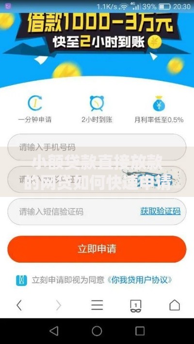 小额贷款直接放款的网贷如何快速申请