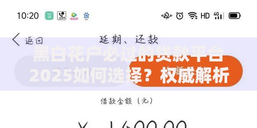 黑白花户必过的贷款平台2025如何选择？权威解析助你避坑