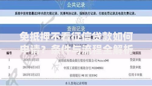 免抵押不看征信贷款如何申请？条件与流程全解析