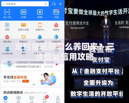 支付宝逾期怎么养回来？三步修复信用攻略