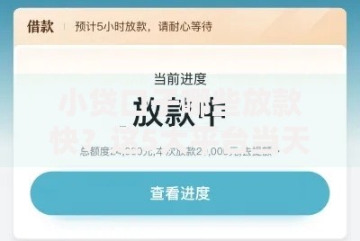 小贷口子哪些放款快？这5大平台当天到账